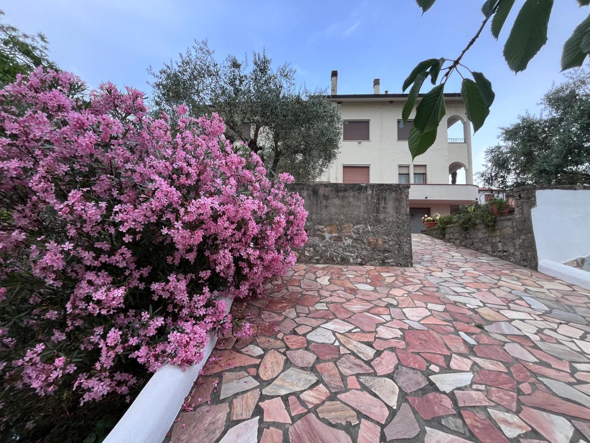 Casa Di Katia Apartment Collesalvetti Exterior foto
